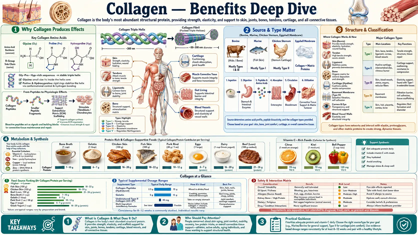Benefits — scientific infographic poster