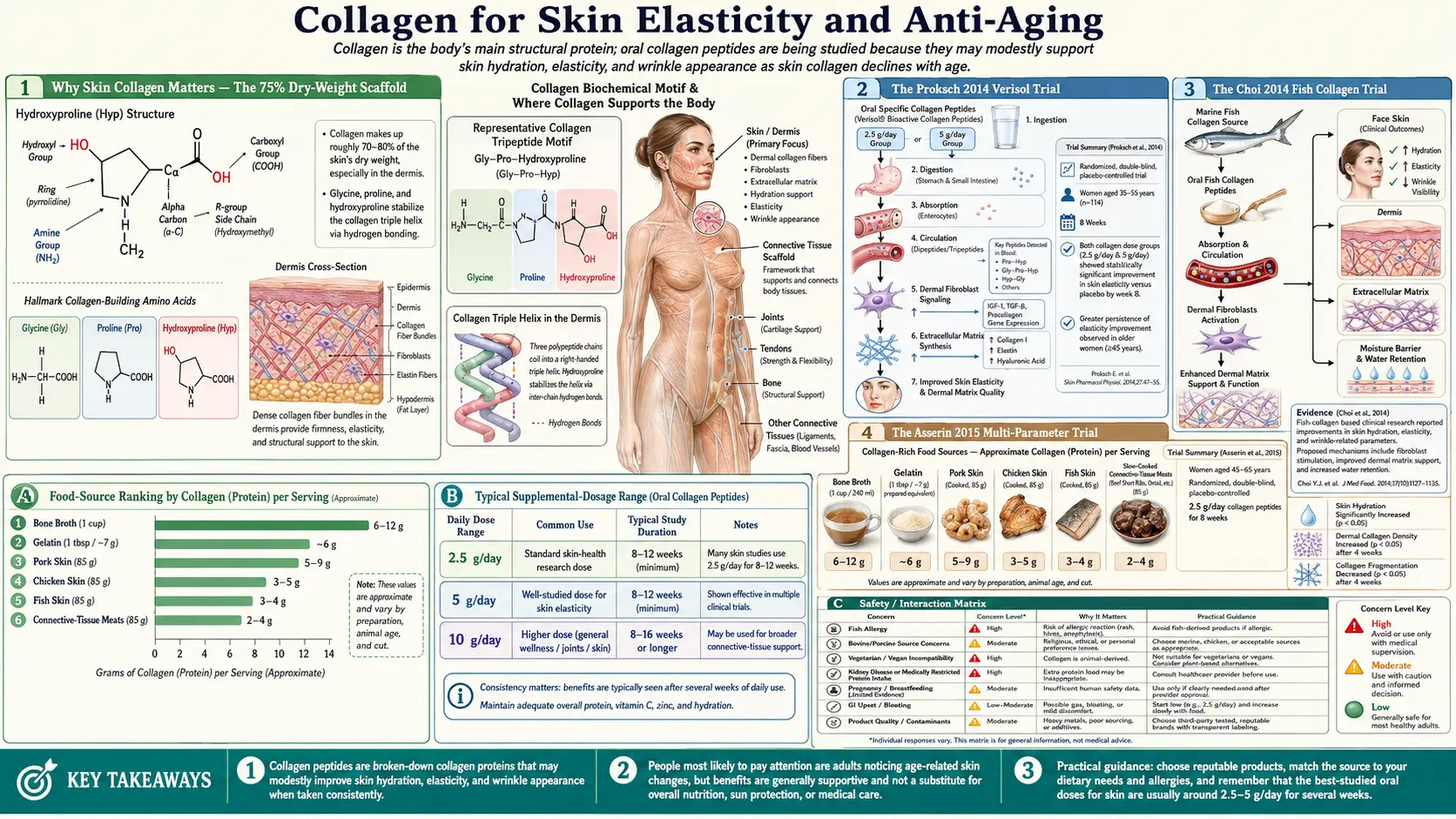 Skin Elasticity and Anti Aging — scientific infographic poster