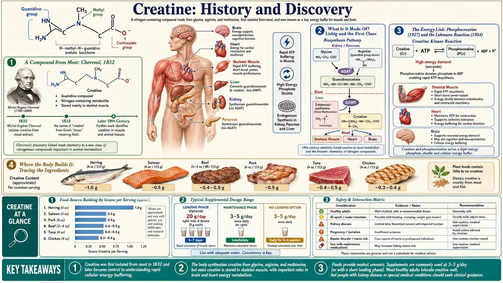History — scientific infographic poster