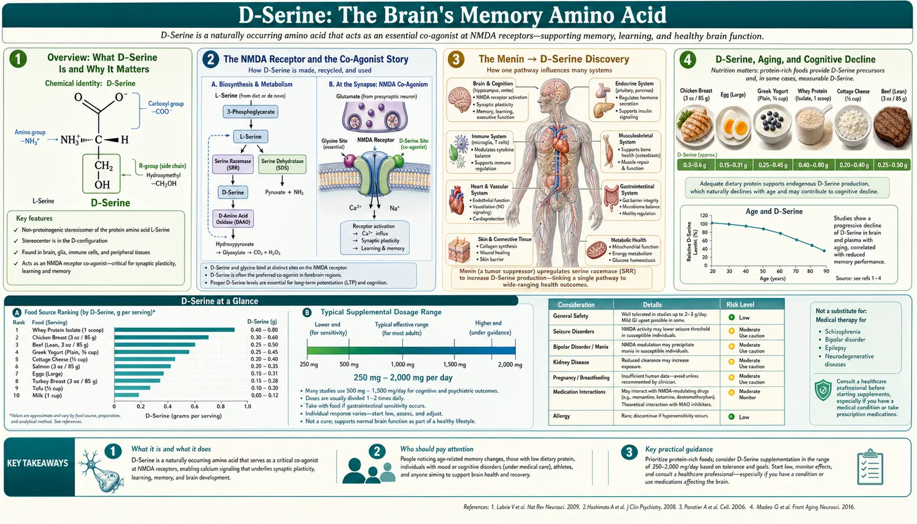 D Serine — scientific infographic poster