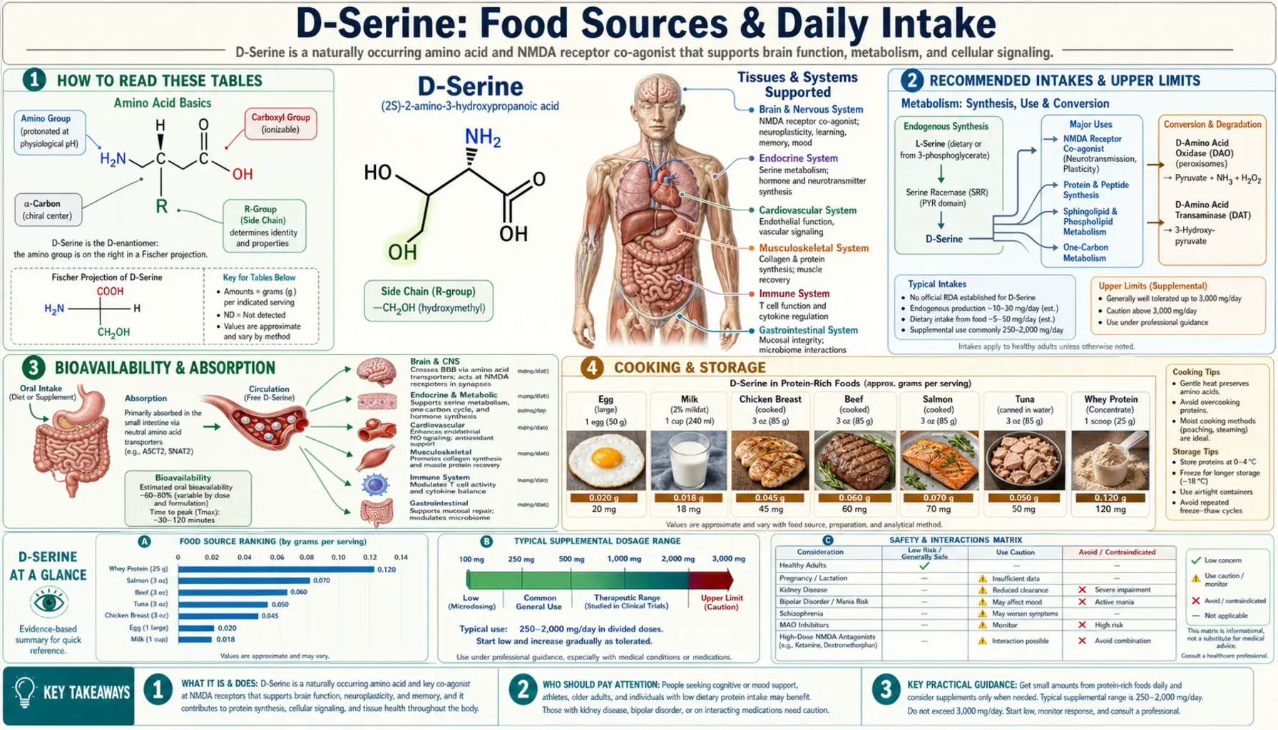 D-Serine: Food Sources & Daily Intake — scientific infographic poster