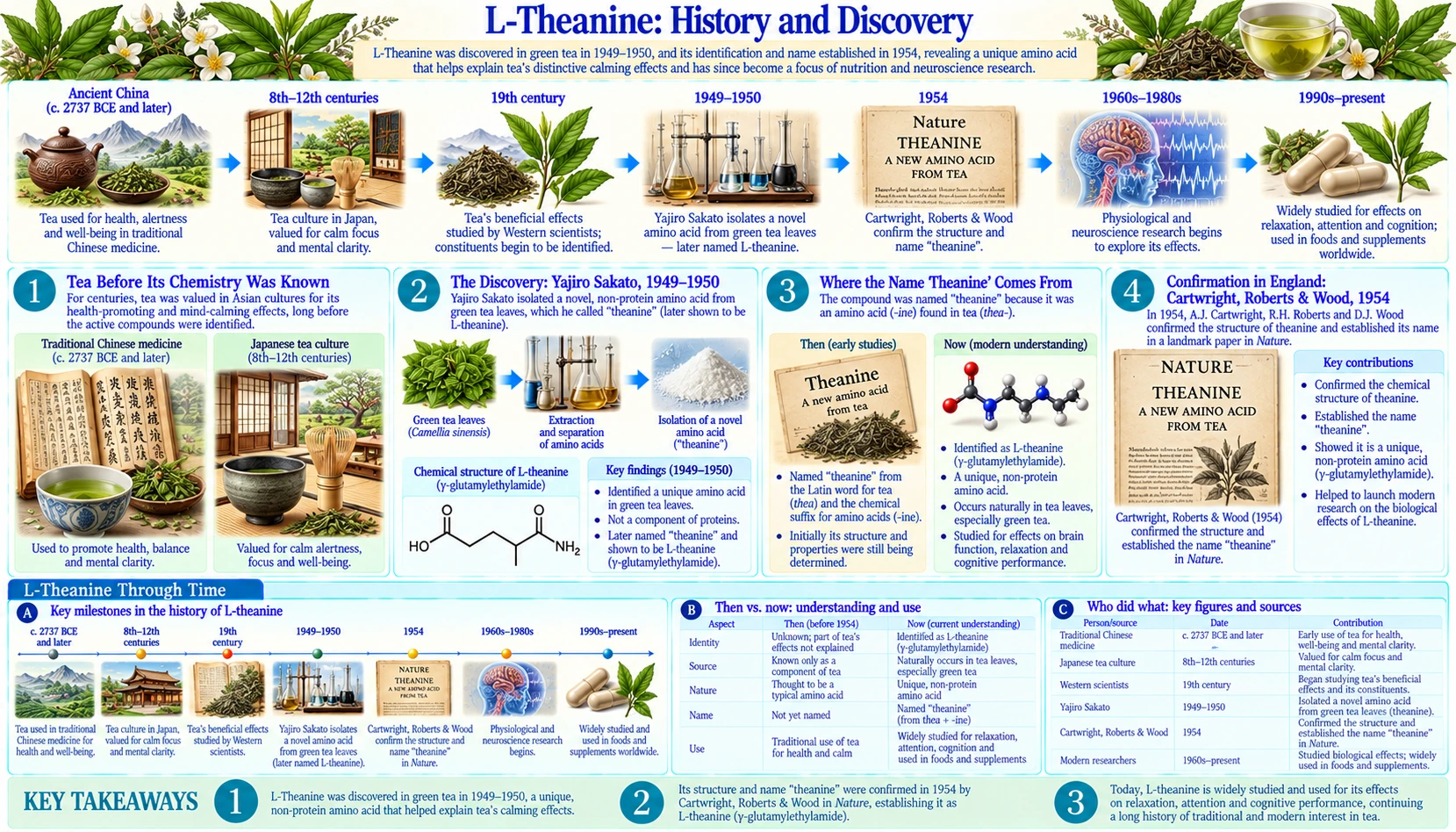 History — scientific infographic poster