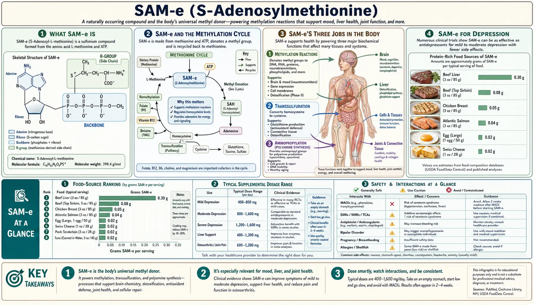 SAM e — scientific infographic poster