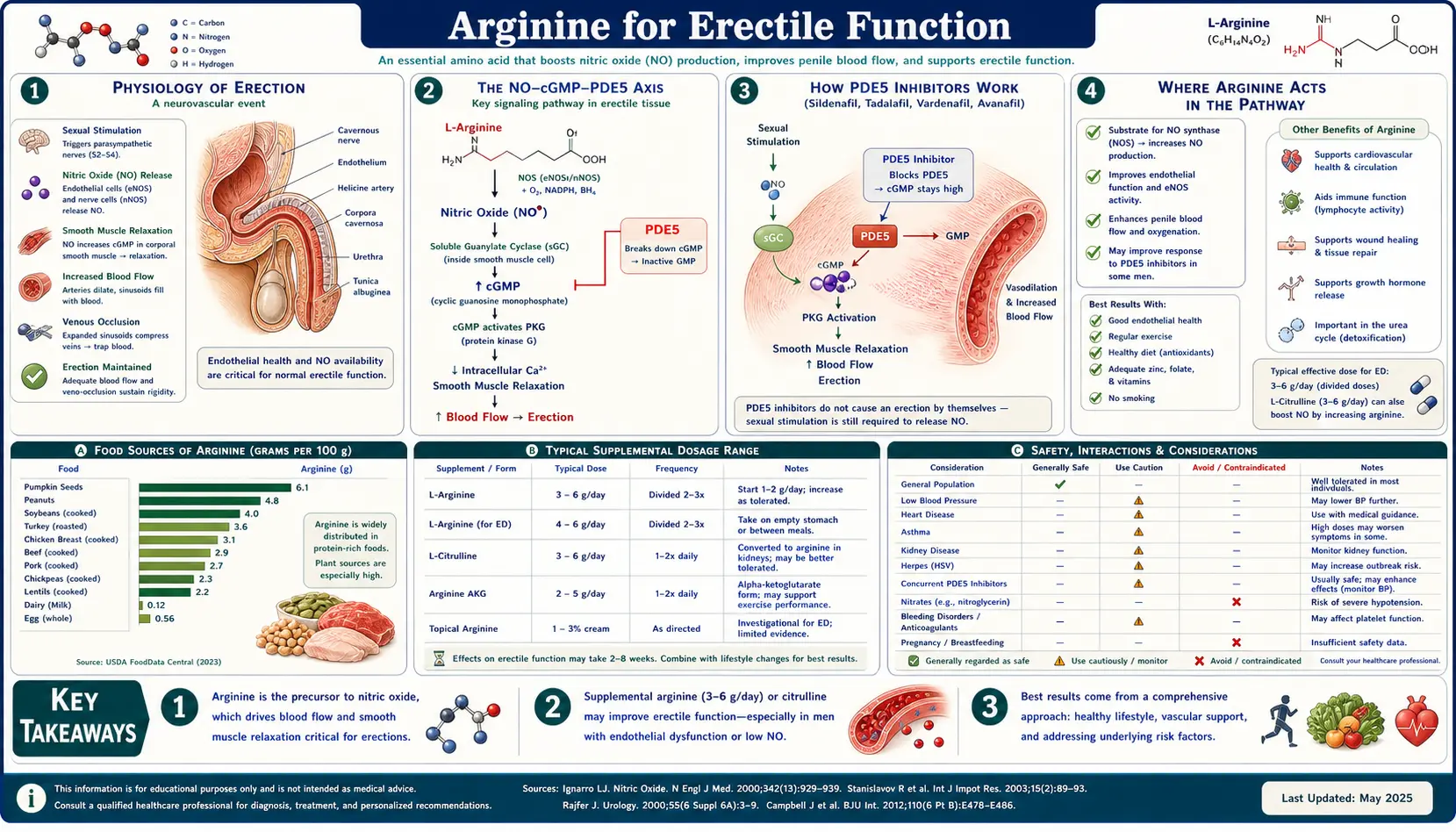 Erectile Function — scientific infographic poster