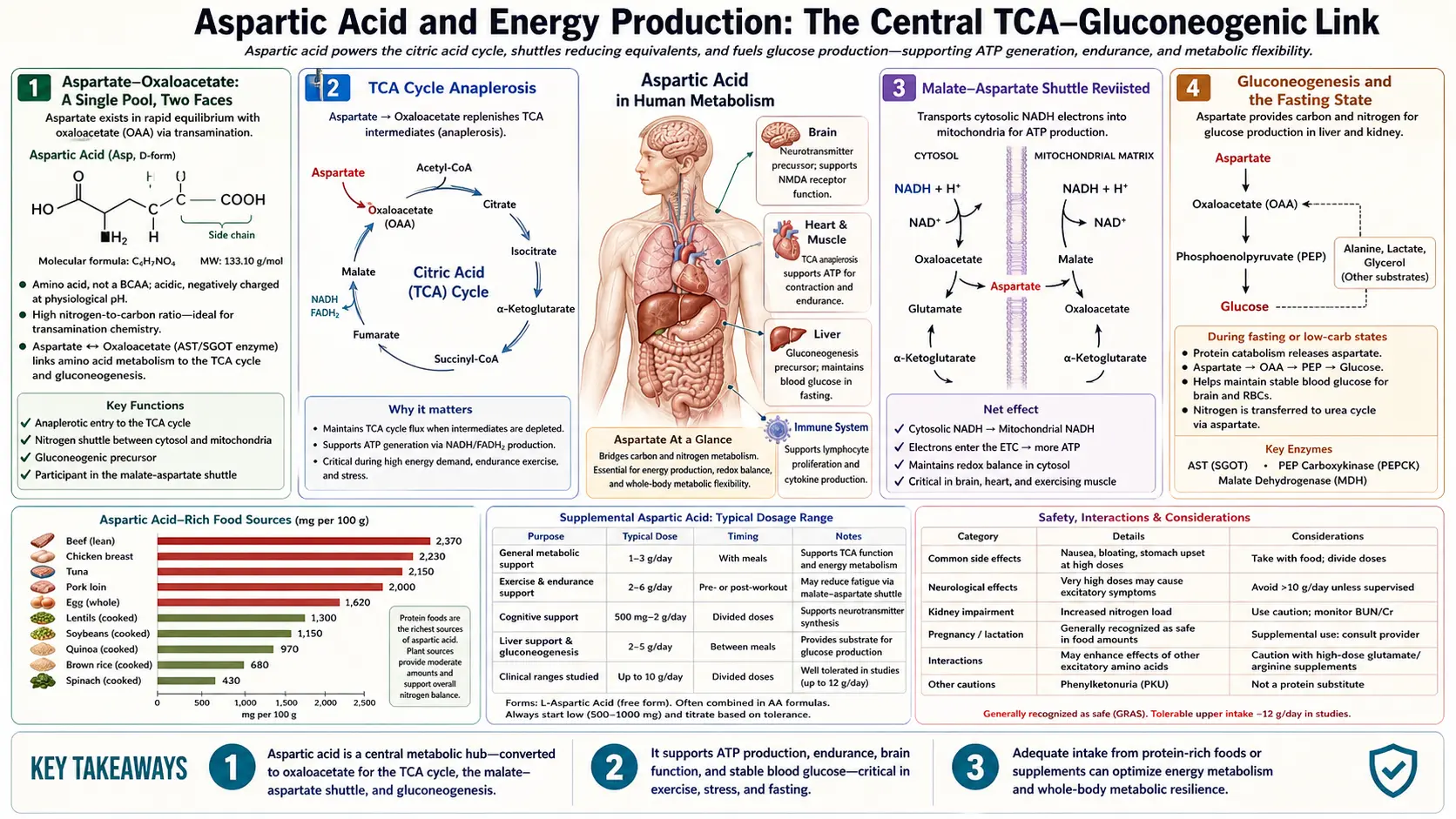 Energy Production — scientific infographic poster