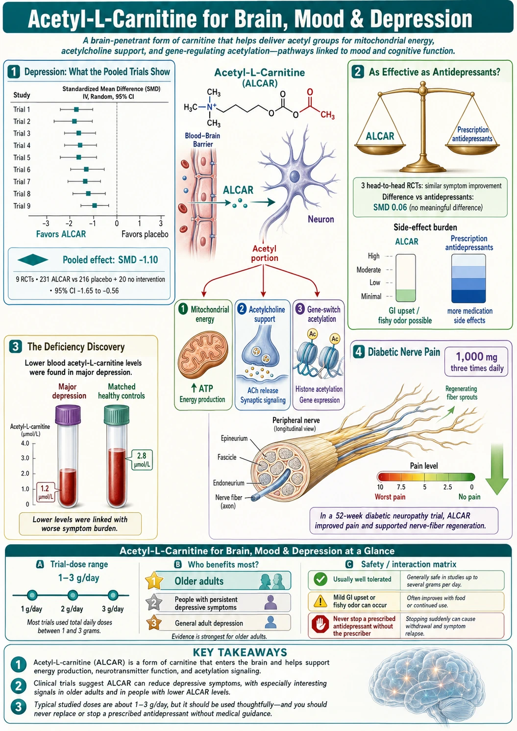 Brain Mood and Depression — scientific infographic poster