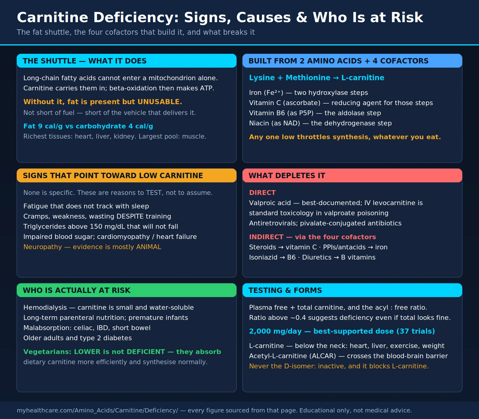 Carnitine deficiency — scientific infographic poster
