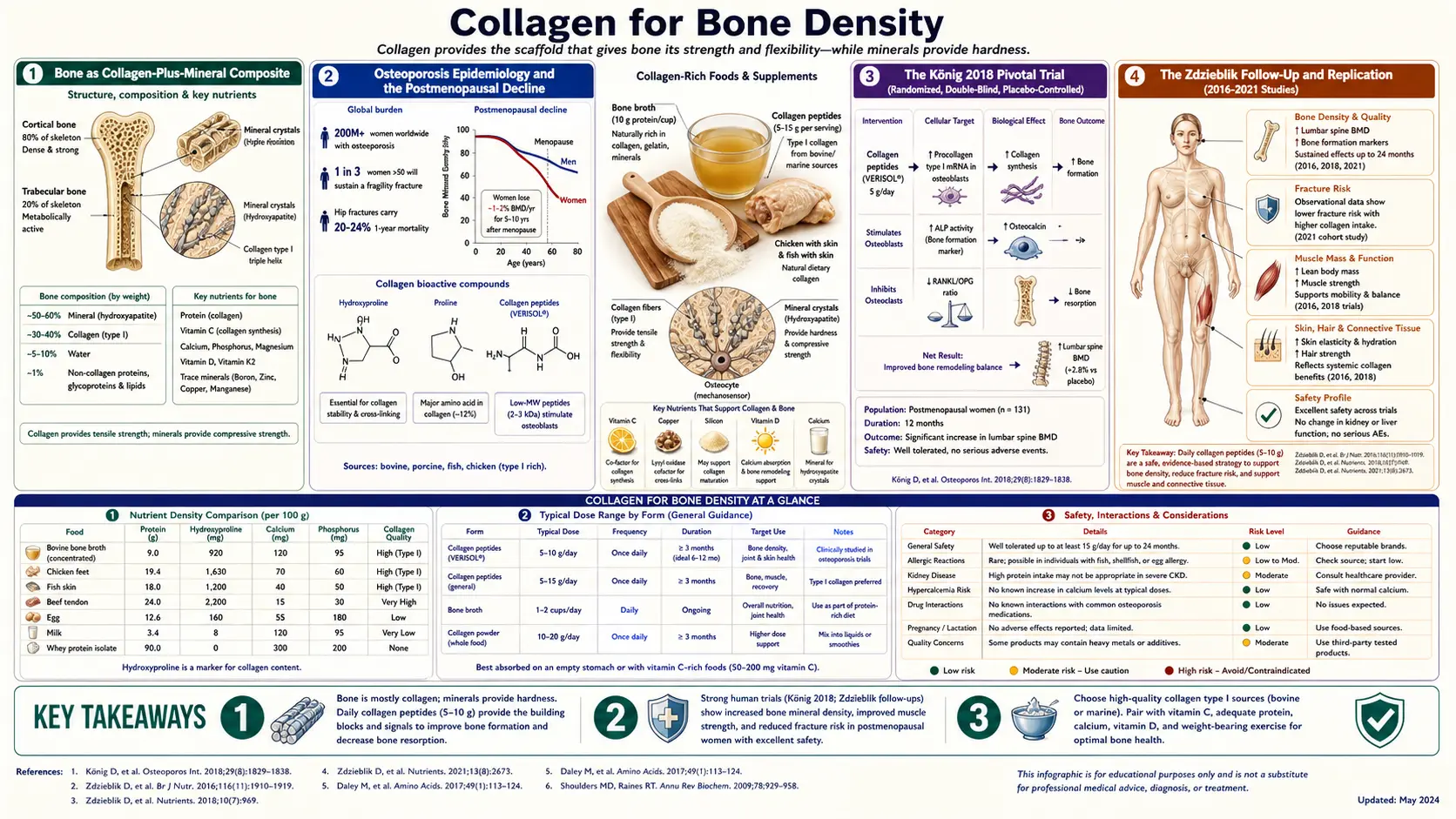 Bone Density — scientific infographic poster