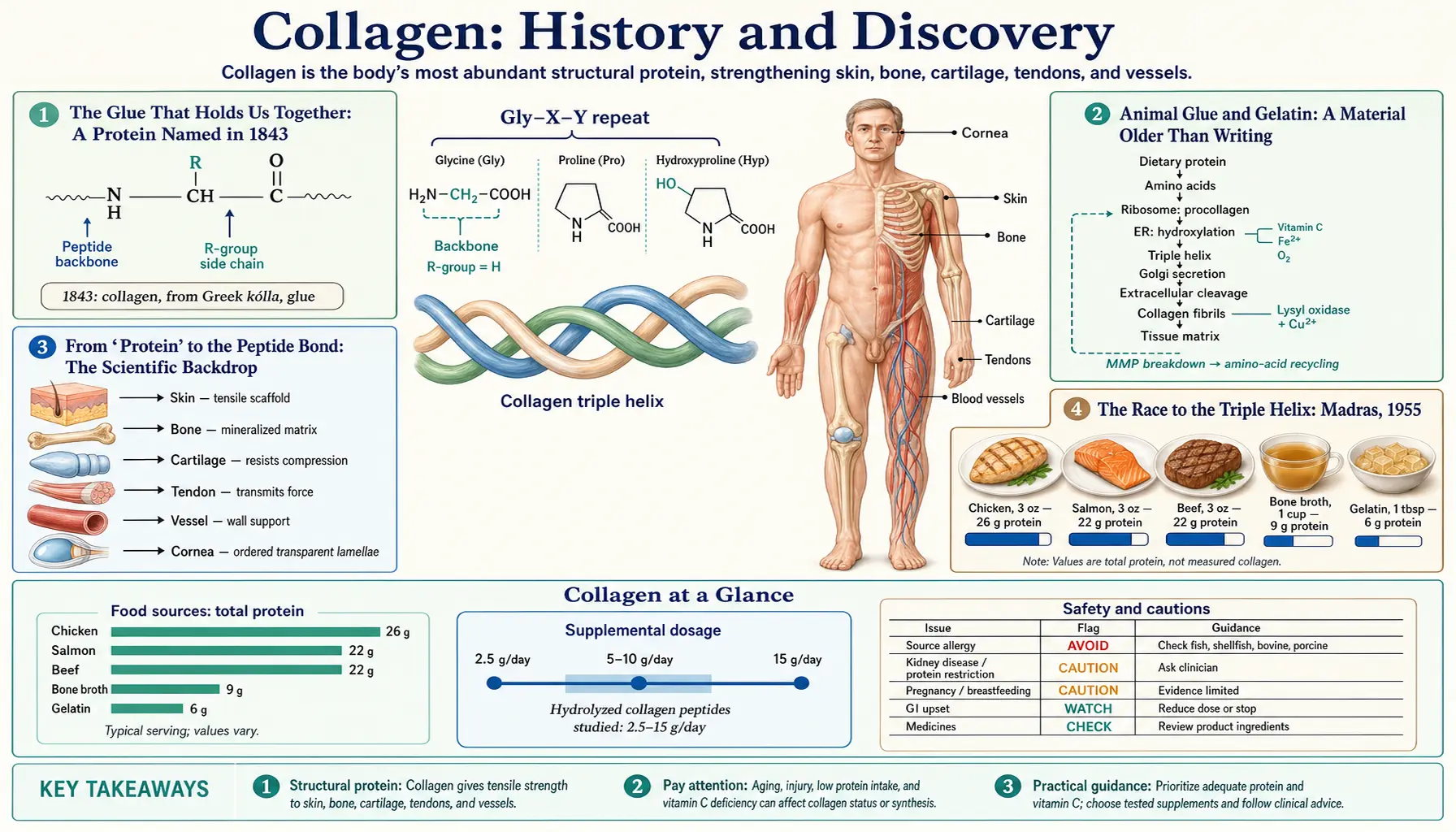 History — scientific infographic poster