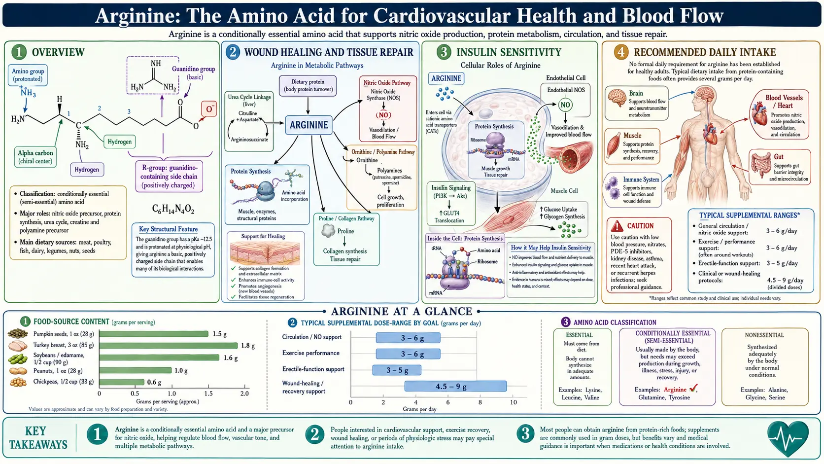 Arginine — scientific infographic poster