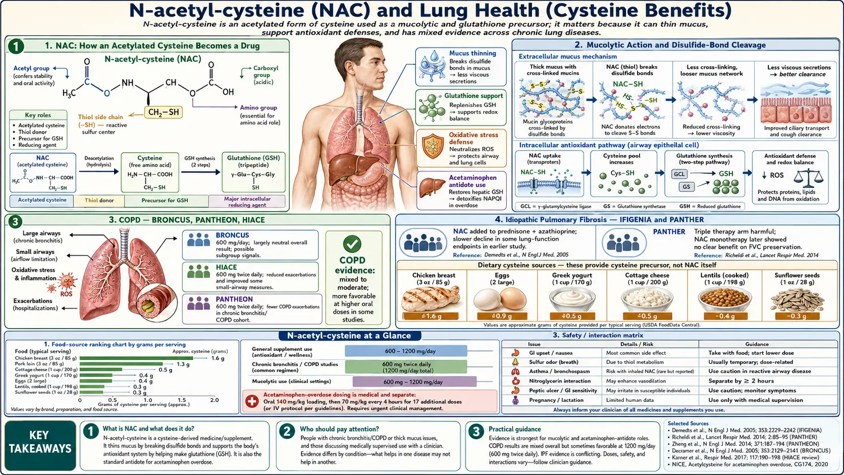 NAC and Lung Health — scientific infographic poster