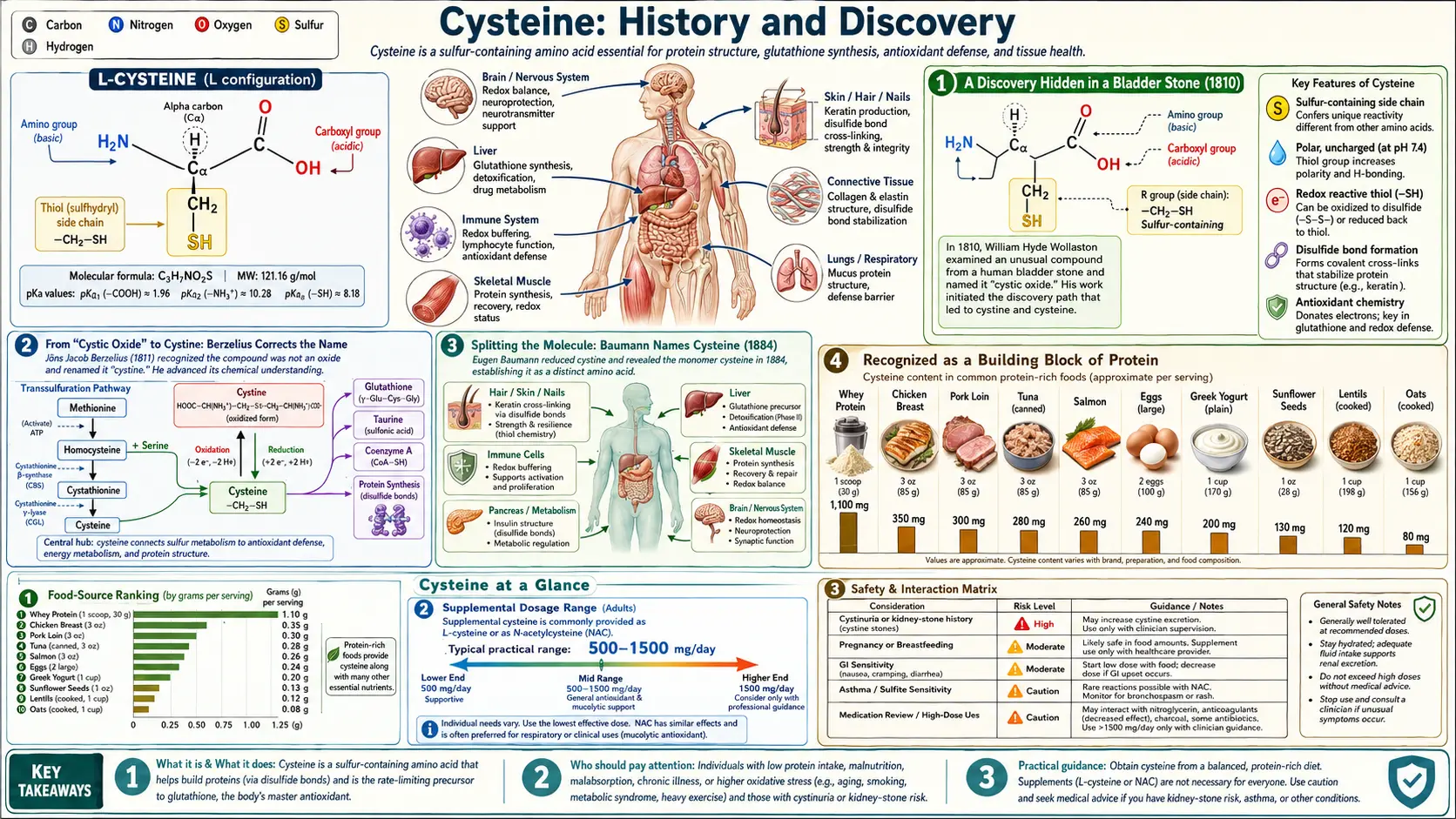 History — scientific infographic poster