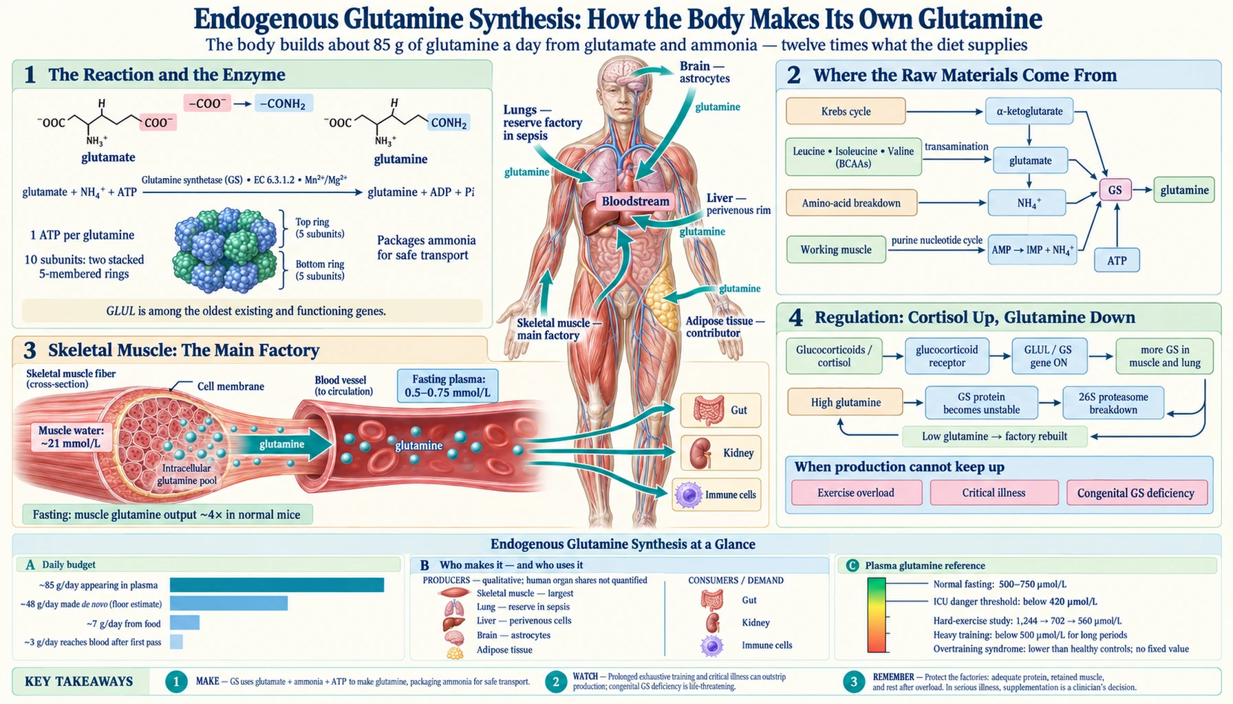 Endogenous Synthesis — scientific infographic poster