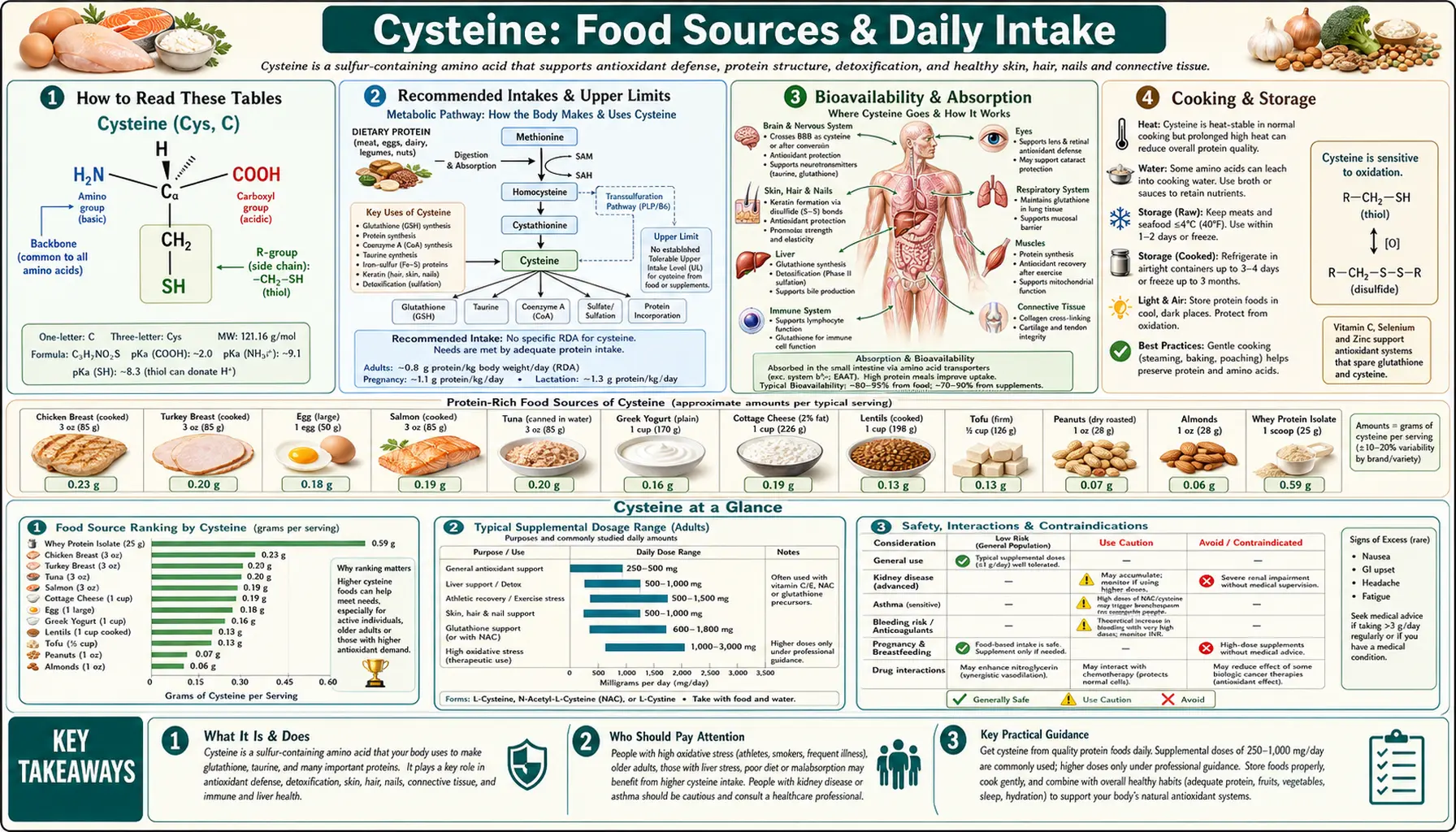 Sources — scientific infographic poster