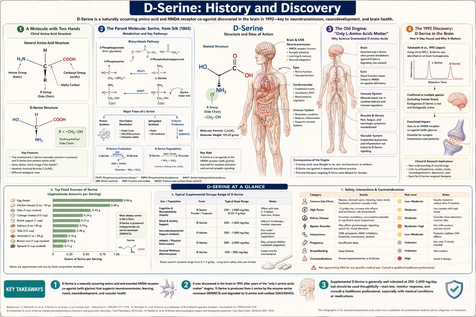 History — scientific infographic poster