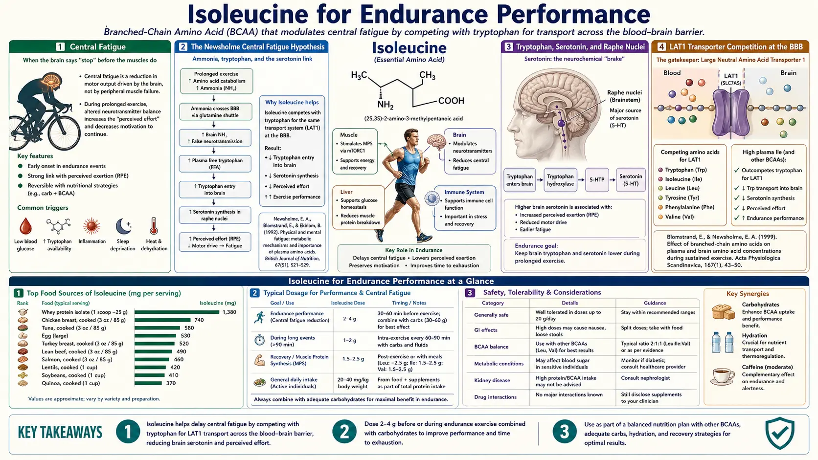 Endurance Performance — scientific infographic poster