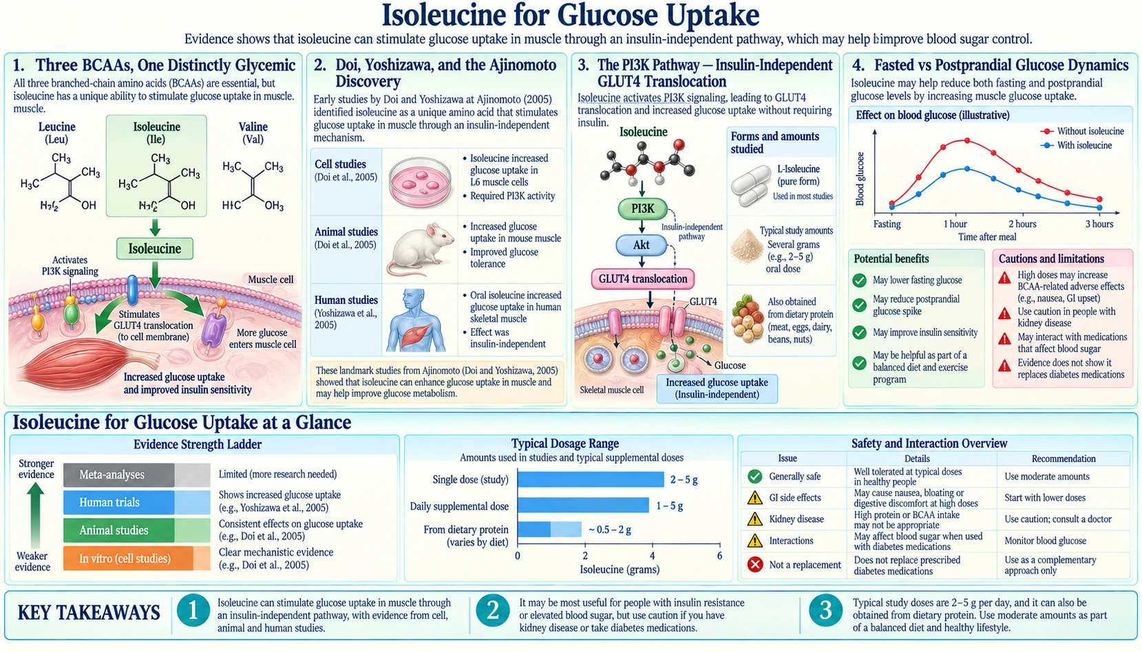 Glucose Uptake — scientific infographic poster