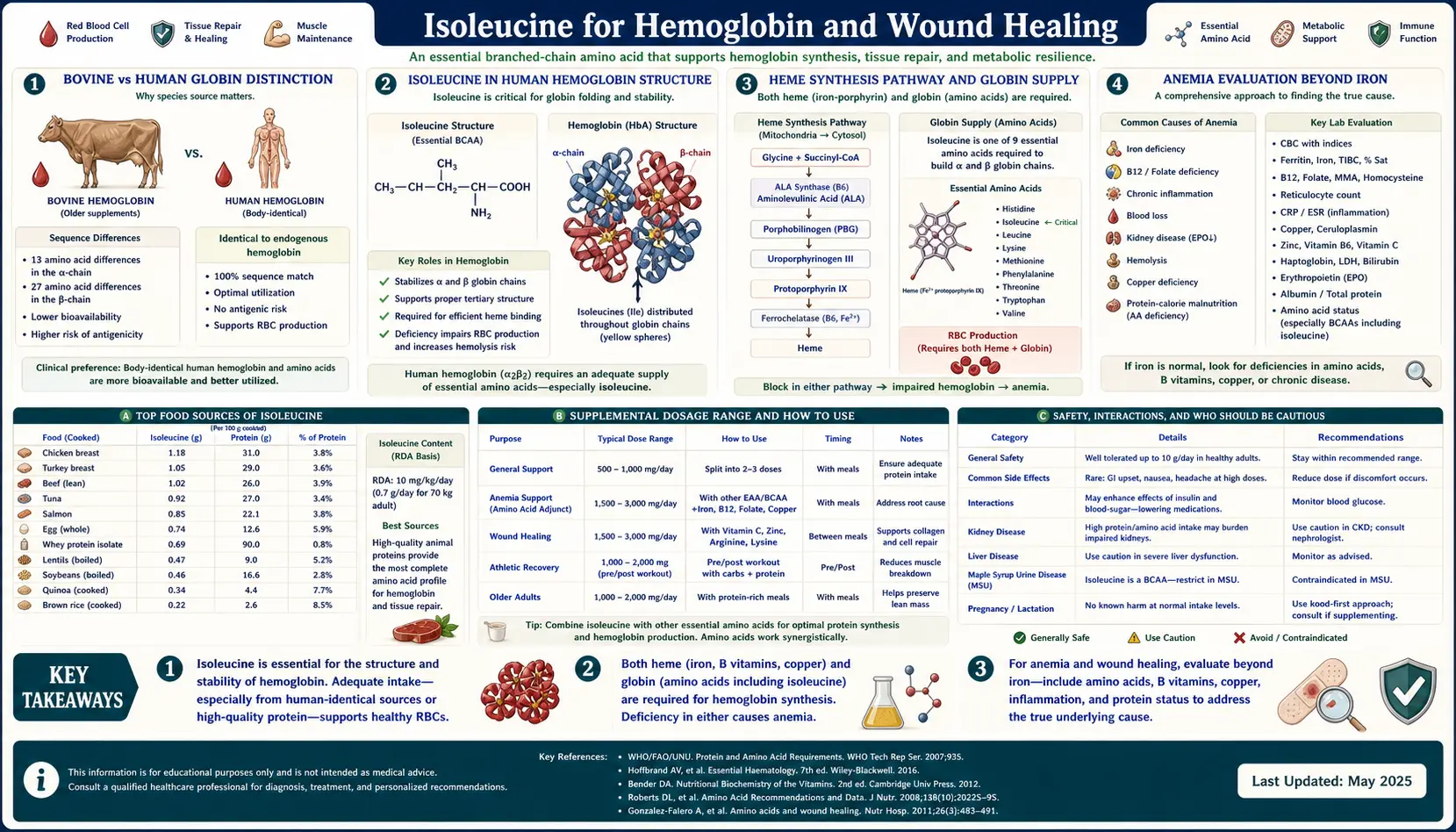 Hemoglobin and Wound Healing — scientific infographic poster
