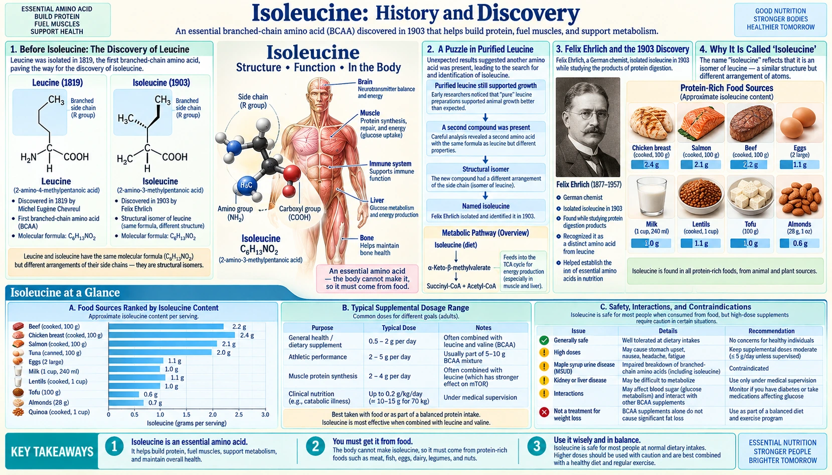 History — scientific infographic poster