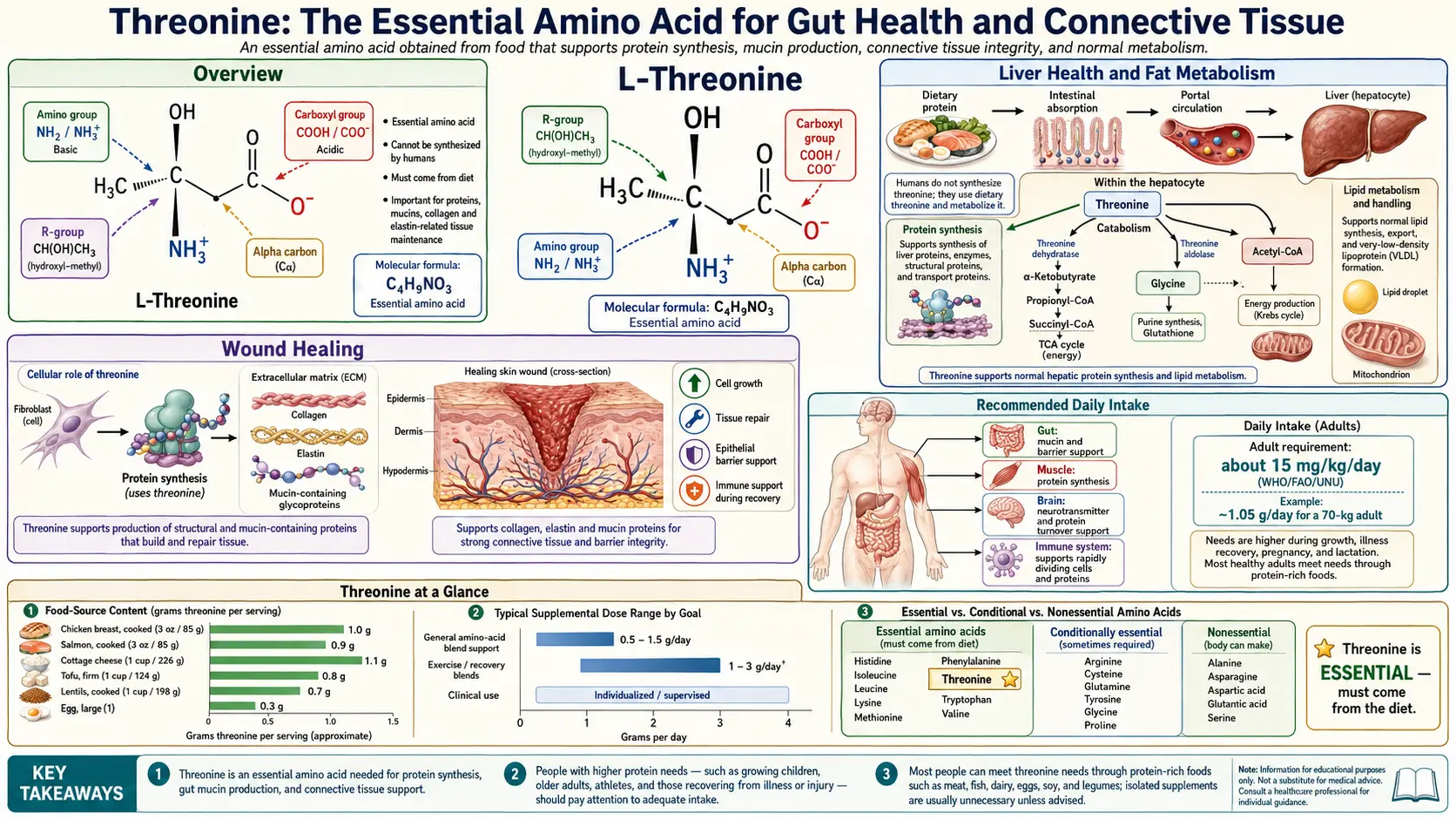 Threonine — scientific infographic poster