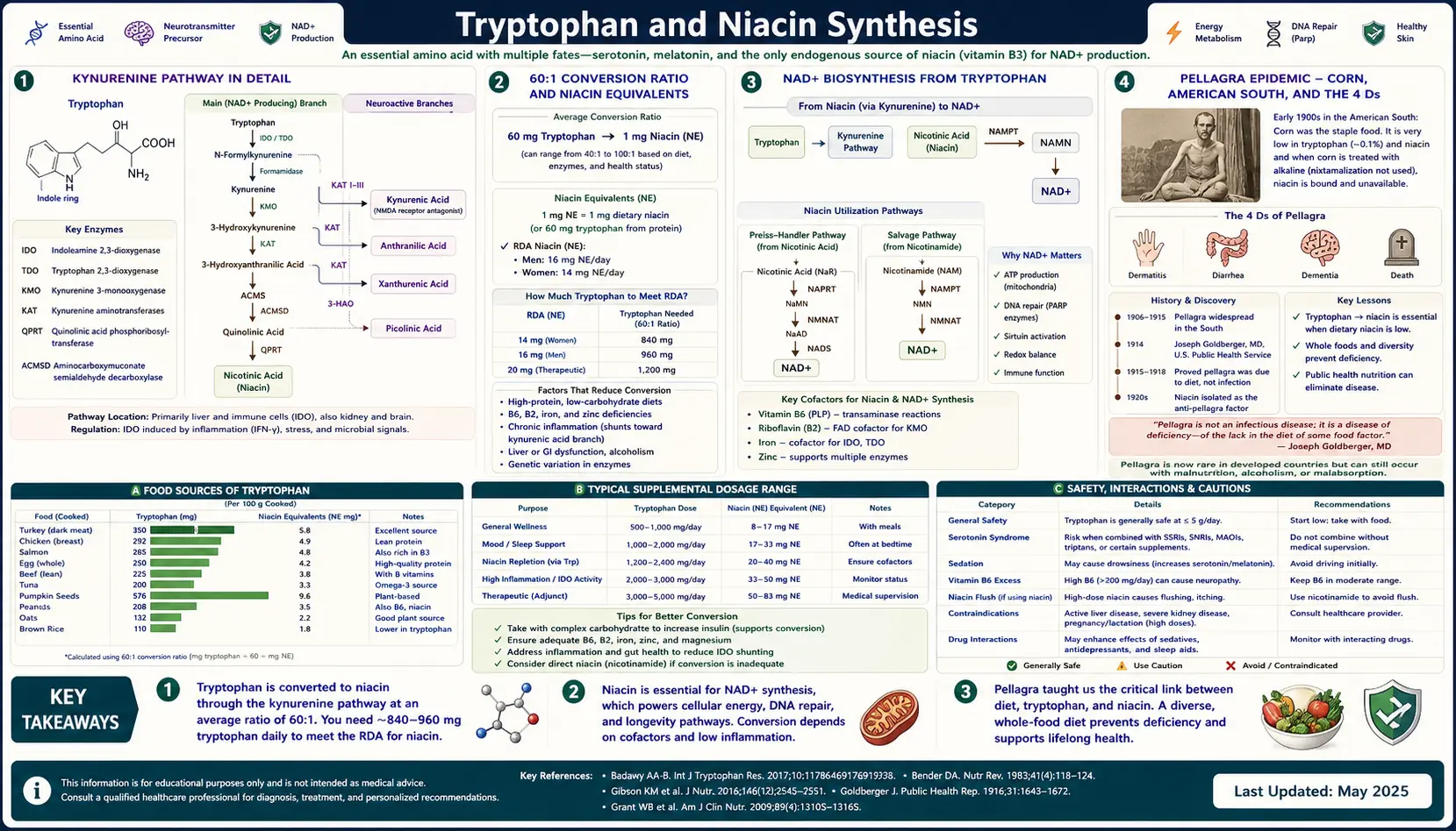Niacin Synthesis — scientific infographic poster