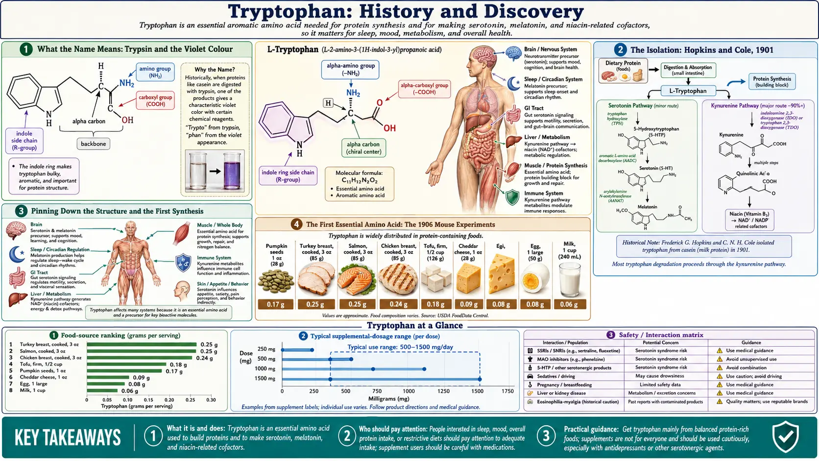 History — scientific infographic poster