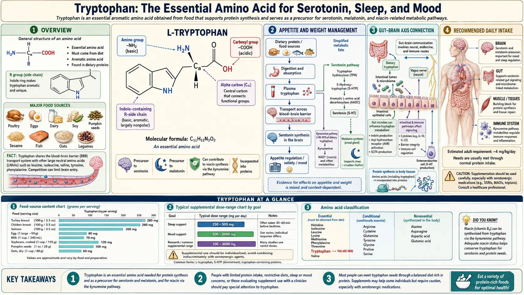 Tryptophan — scientific infographic poster