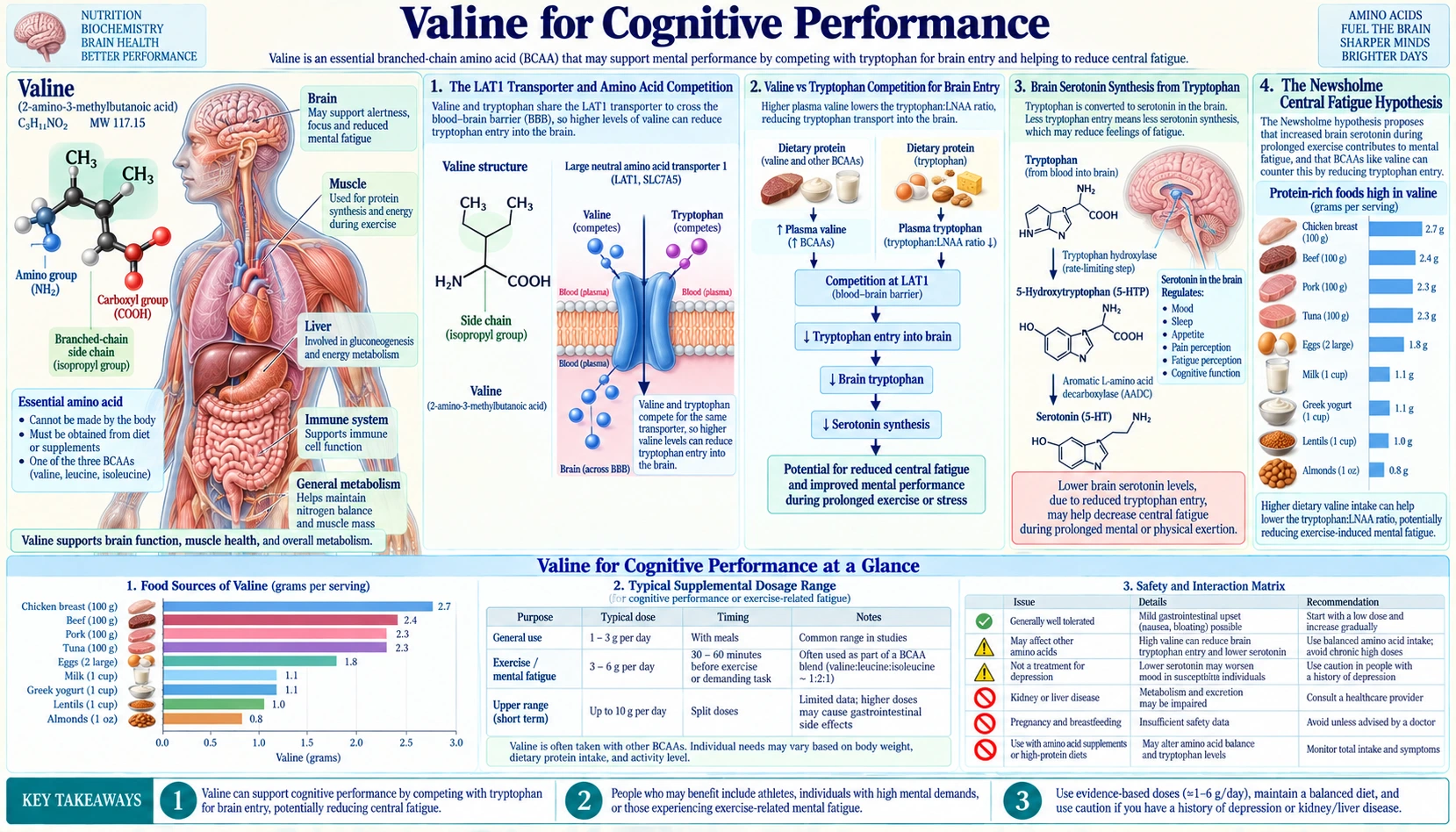 Cognitive Performance — scientific infographic poster