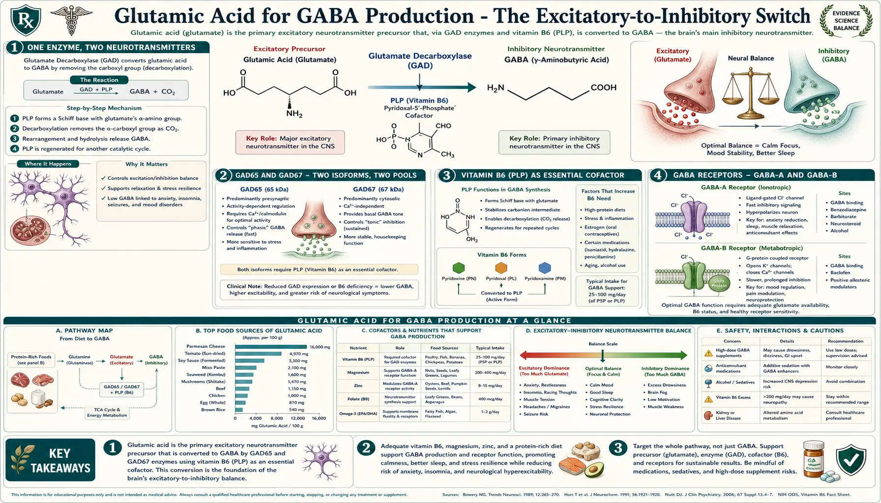 GABA Production — scientific infographic poster
