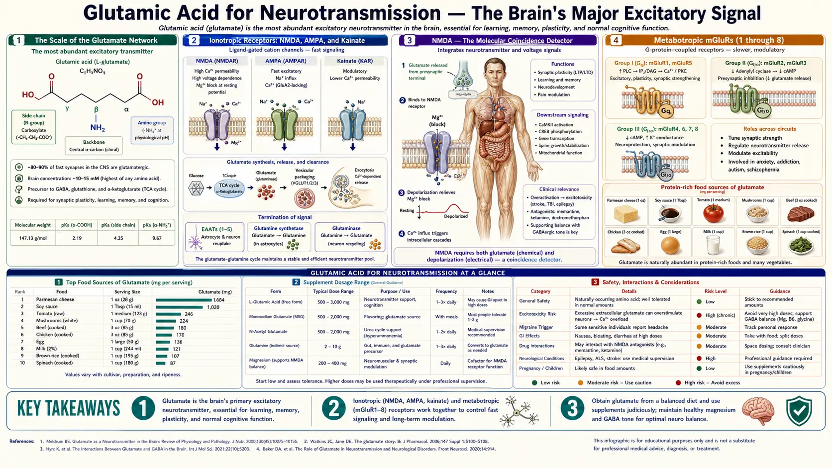 Neurotransmission and Excitatory — scientific infographic poster