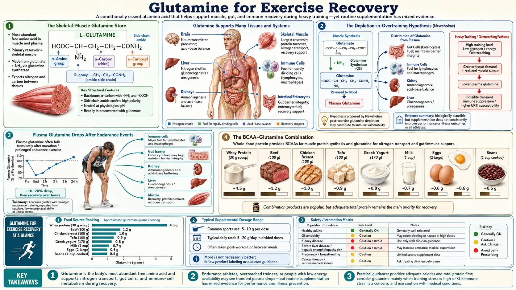 Exercise Recovery — scientific infographic poster