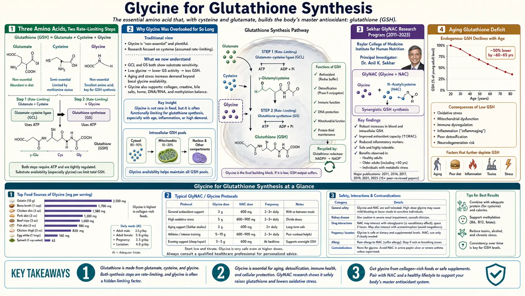 Glutathione Synthesis — scientific infographic poster