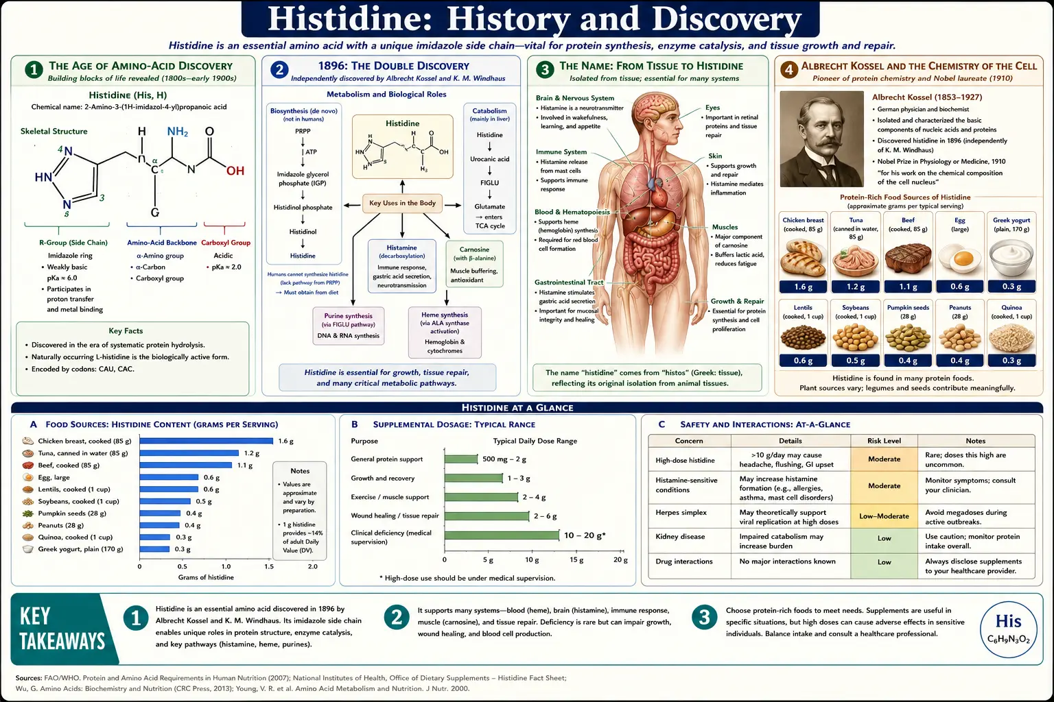 History — scientific infographic poster
