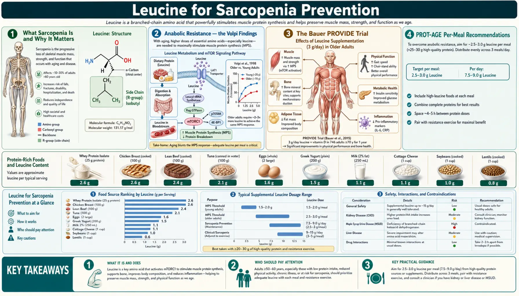 Sarcopenia Prevention — scientific infographic poster