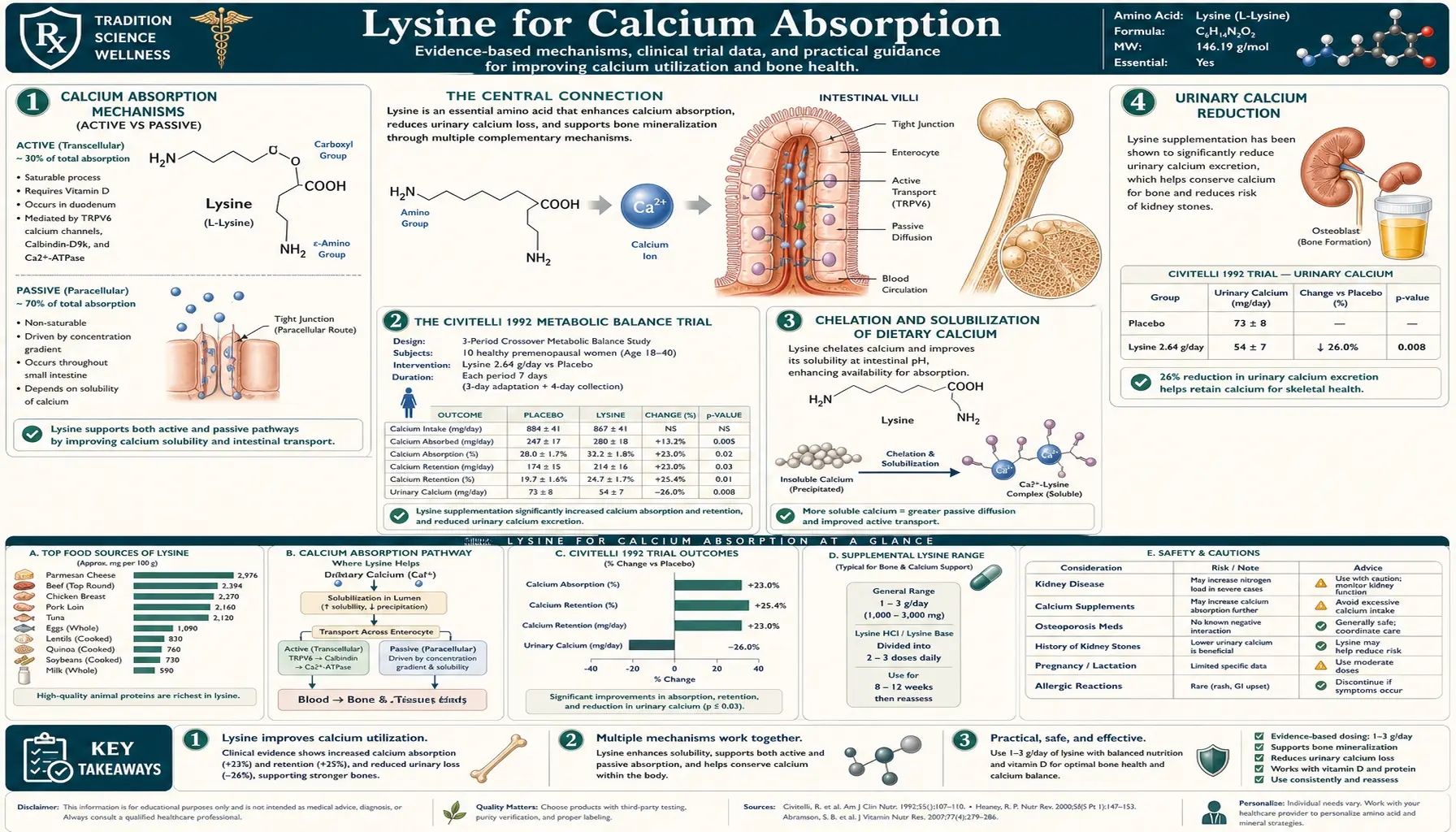Calcium Absorption — scientific infographic poster