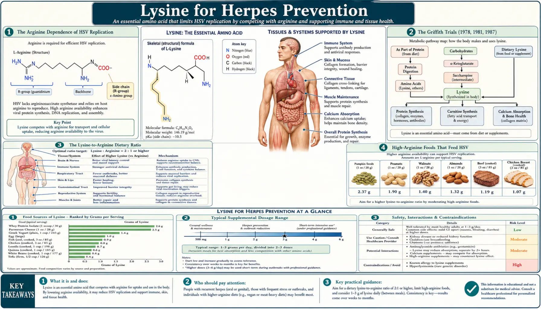 Herpes Prevention — scientific infographic poster