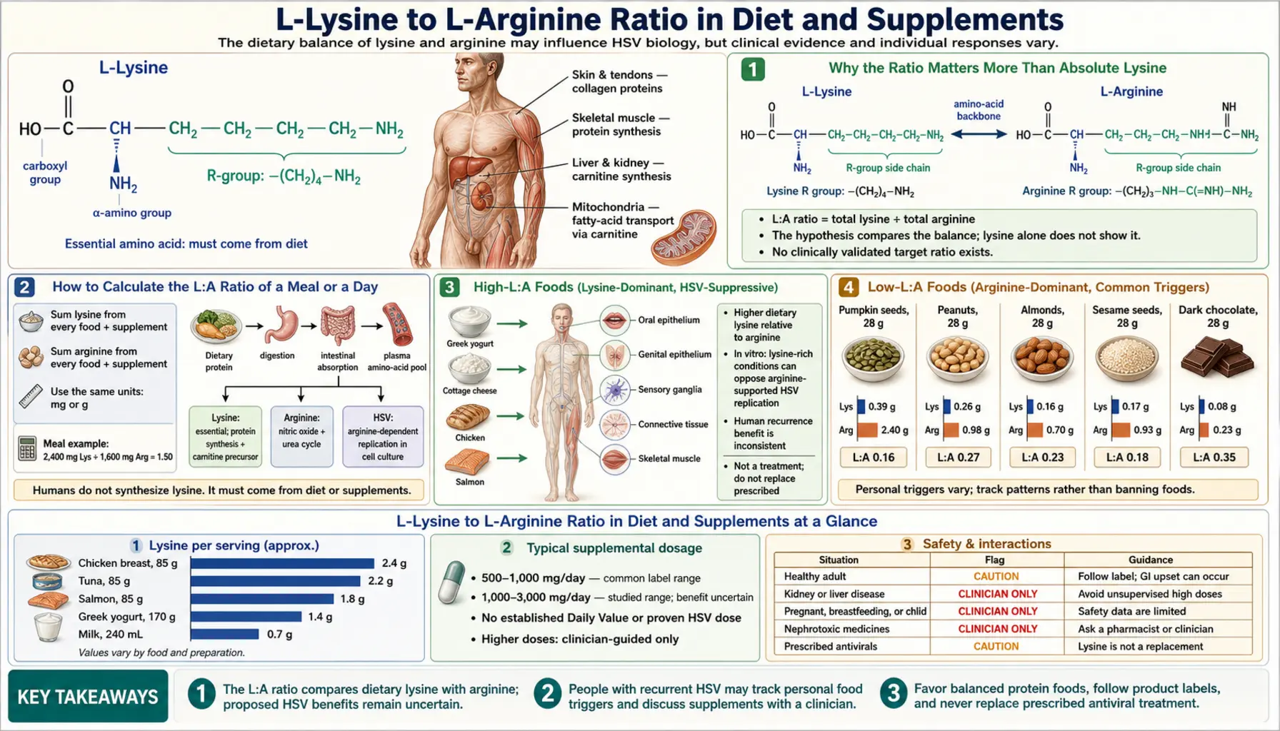 Lysine Arginine Ratio — scientific infographic poster
