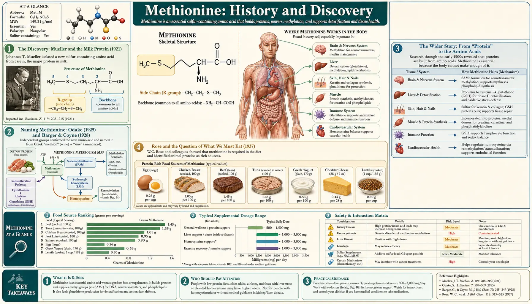 History — scientific infographic poster