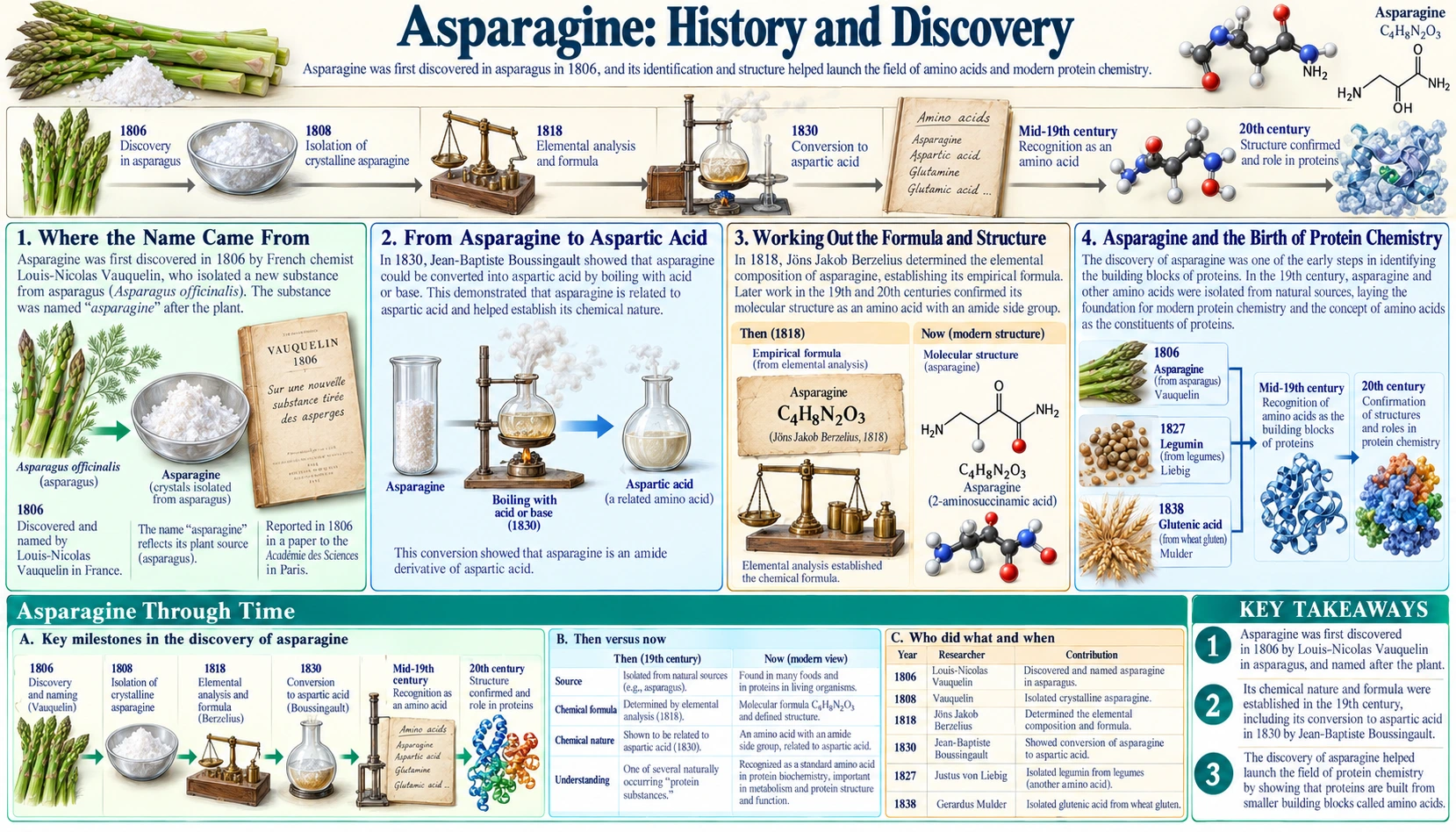 History — scientific infographic poster
