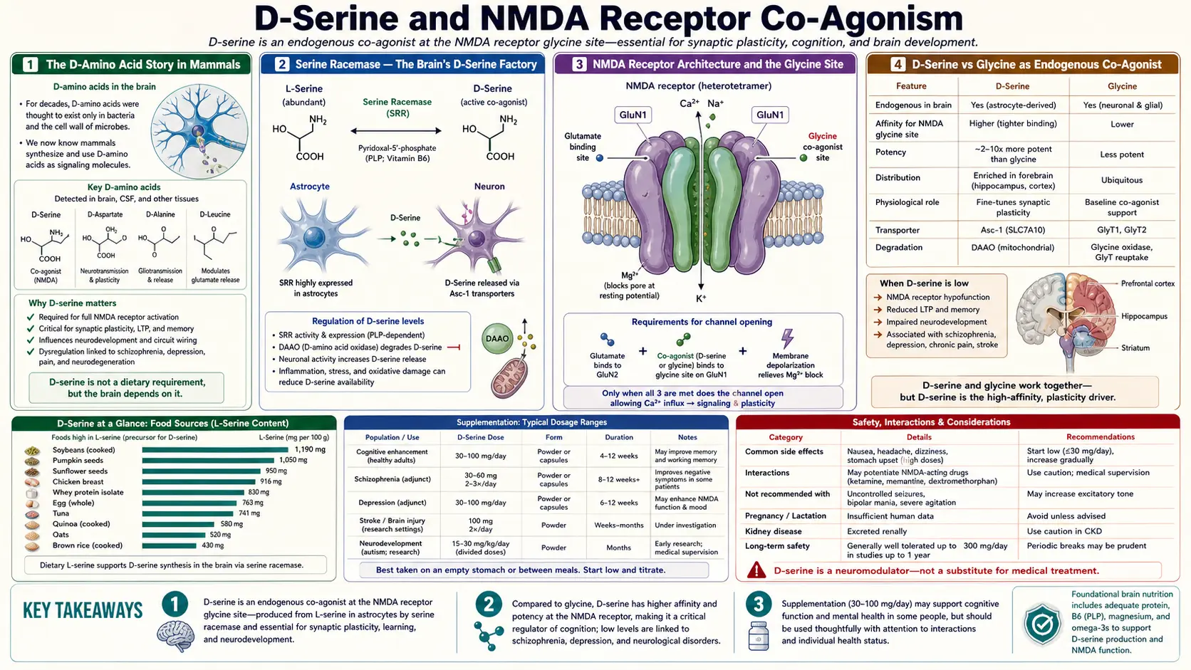 D Serine and N-methyl-D-aspartate — scientific infographic poster