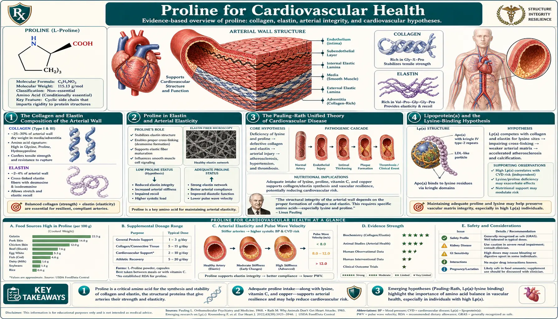 Cardiovascular Health — scientific infographic poster