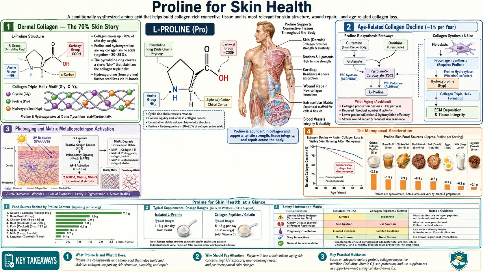 Skin Health — scientific infographic poster
