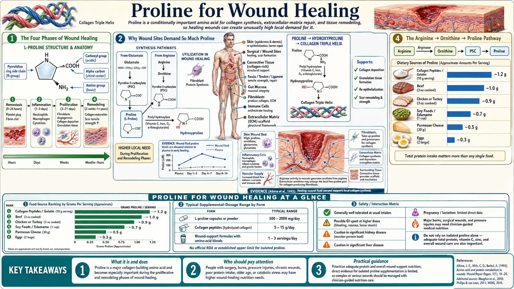 Wound Healing — scientific infographic poster