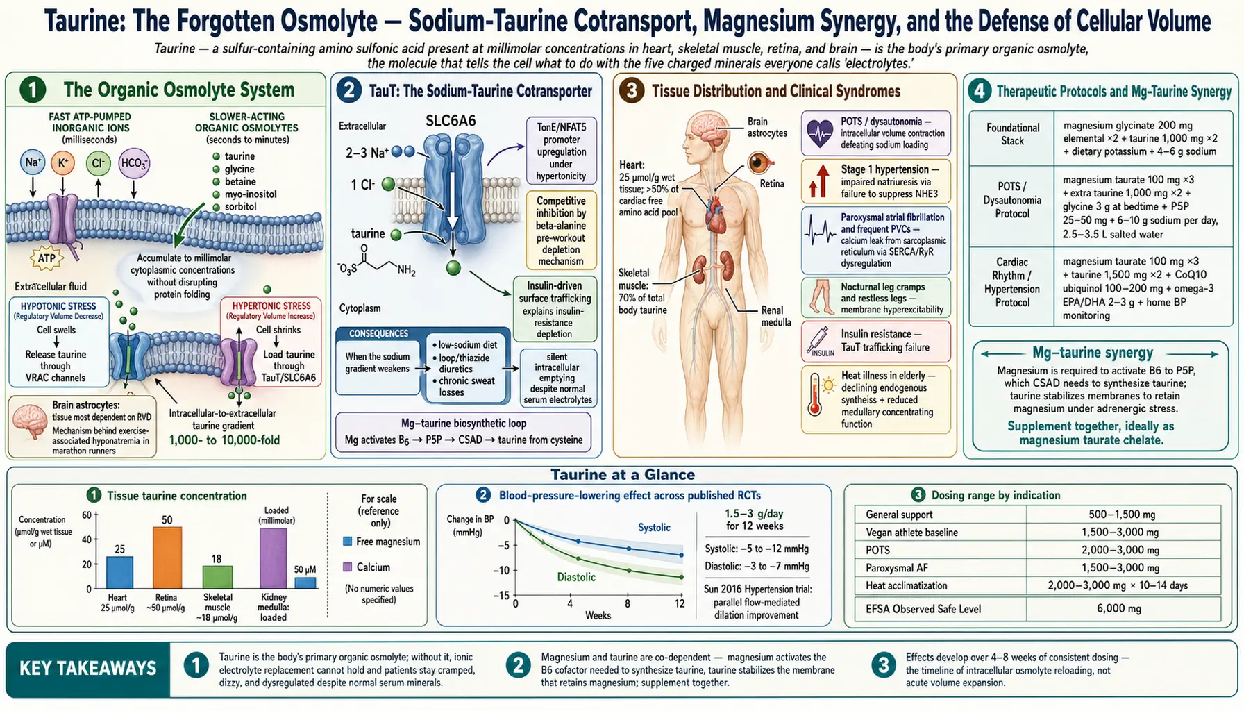 Electrolyte Balance — scientific infographic poster