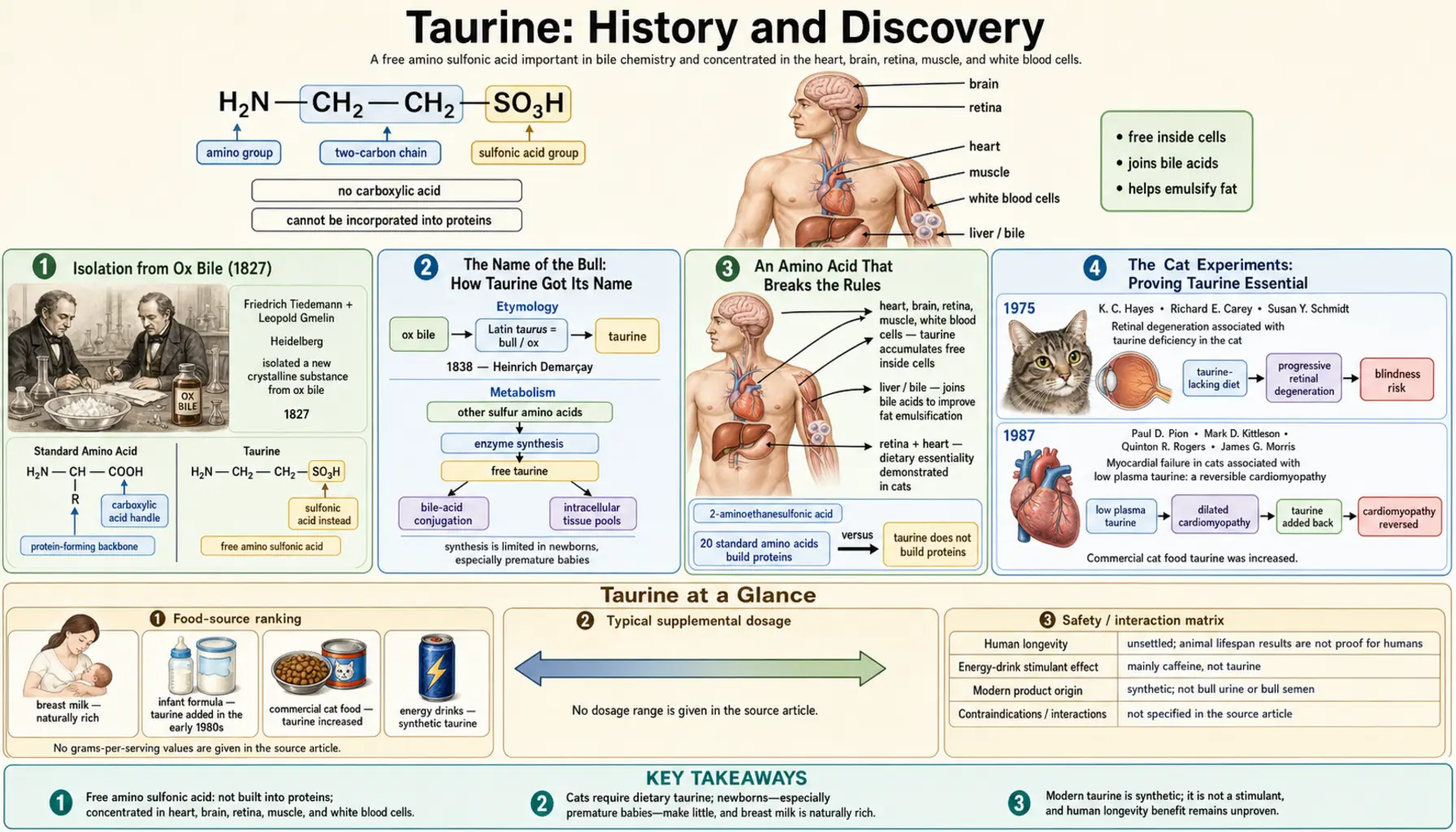 History — scientific infographic poster