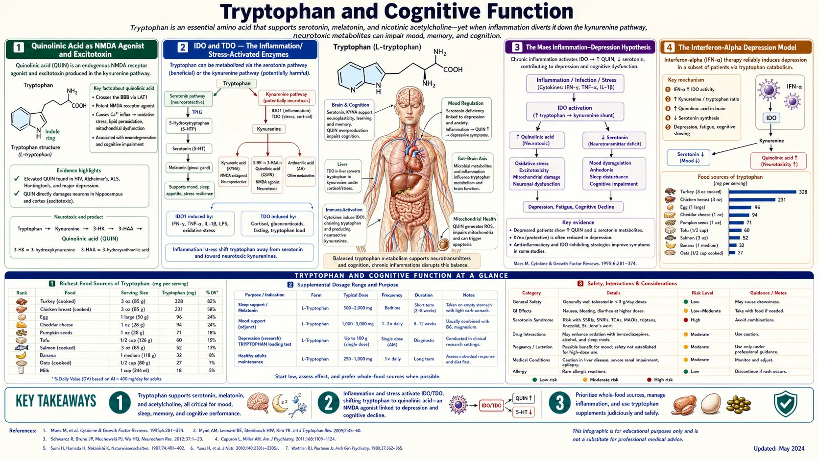 Cognitive Function — scientific infographic poster