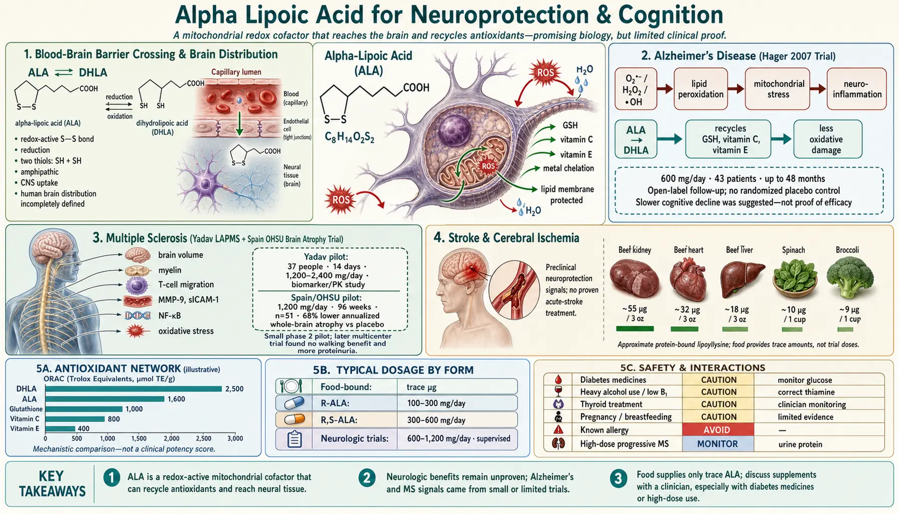 Neuroprotection — scientific infographic poster