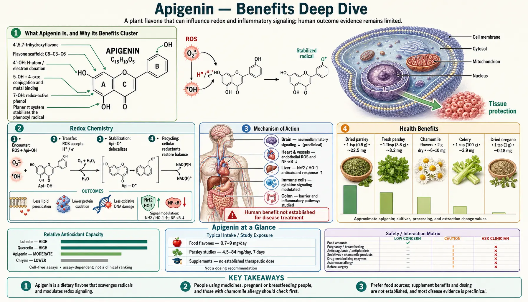 Benefits — scientific infographic poster