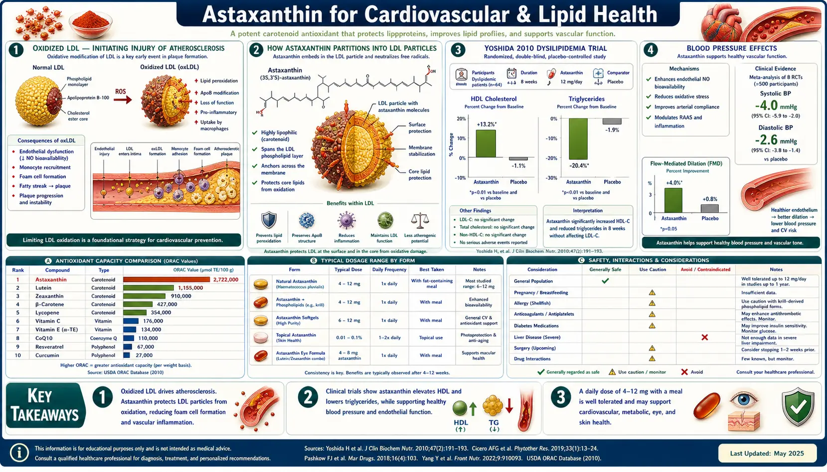 Cardiovascular — scientific infographic poster
