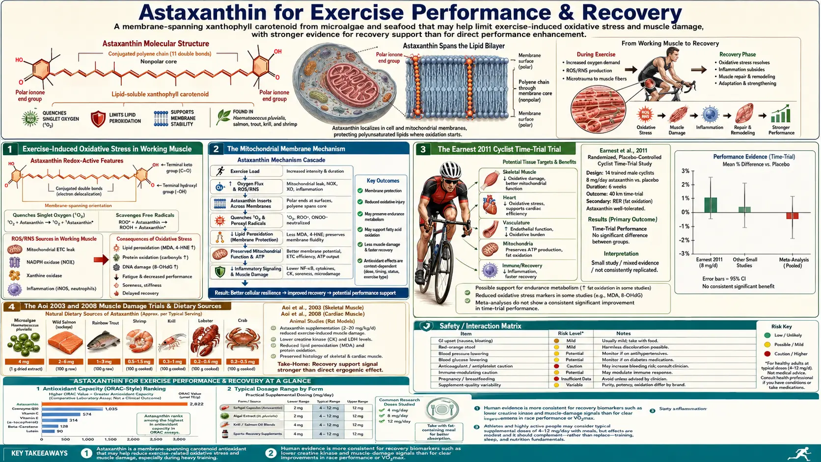 Exercise Performance — scientific infographic poster